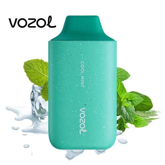 Vozal mint 12000 puff